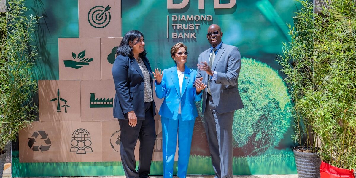 Accelerate Regulations to Boost Kenya's Carbon Markets, Experts Urge