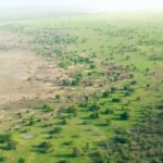 African Green Banks Initiative: How the AfDB Is Building a $1.5 Billion Climate Finance Machine