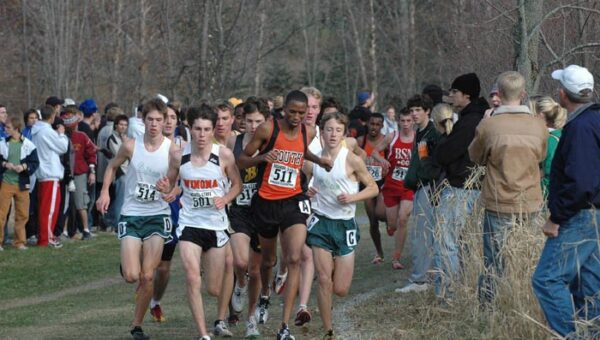 Beyond Zero Half Marathon 2025