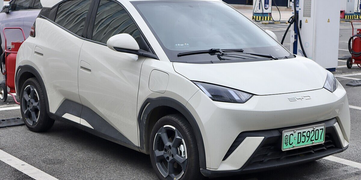 BYD DOLPHIN SURF 30 kWh Active