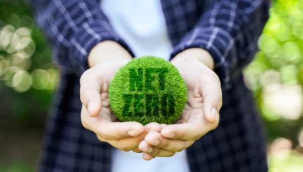 CarbonPool closes $12m to underwrite the carbon credit markets