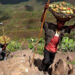 Climate and Geopolitics Are Reshaping Global Food Security