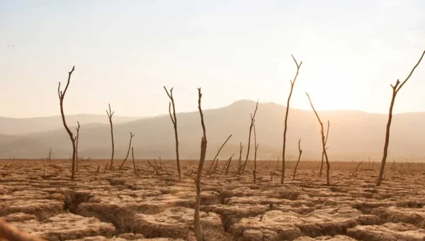 Climate finance and natural capital accounting by African countries top AfDB's COP29 agenda