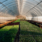 Controlled environment agriculture startup Hippo Harvest announces $21m Series B funding to scale next-generation greenhouse platform