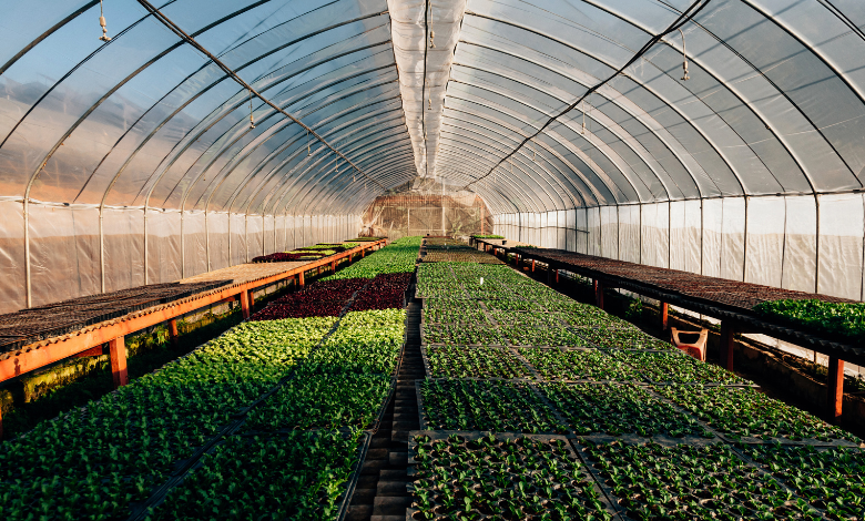 Controlled environment agriculture startup Hippo Harvest announces $21m Series B funding to scale next-generation greenhouse platform