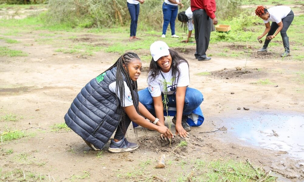 Corporations in Kenya join govt in ambitious plan to plant 15 billion trees