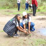 Corporations in Kenya join govt in ambitious plan to plant 15 billion trees