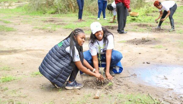 Corporations in Kenya join govt in ambitious plan to plant 15 billion trees