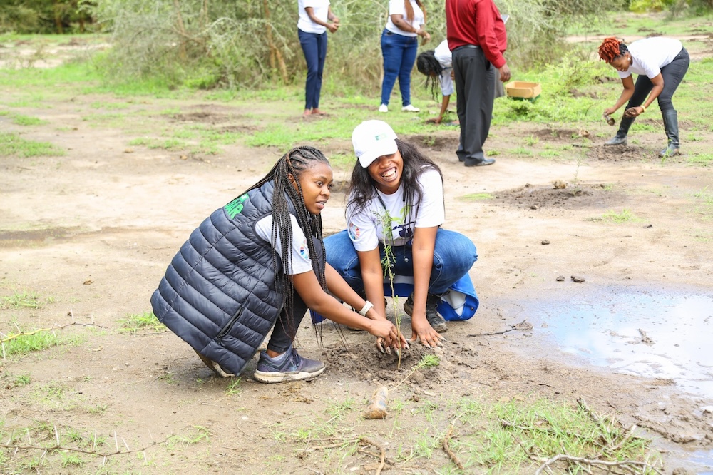 Corporations in Kenya join govt in ambitious plan to plant 15 billion trees