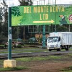 Del Monte Kenya Embraces E-Buses in Eco-Friendly Shift