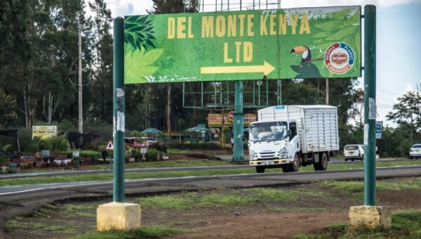 Del Monte Kenya Embraces E-Buses in Eco-Friendly Shift