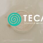 Four Climate Ventures to Receive $273k in Follow-on Support from BFA Global and FSD Africa