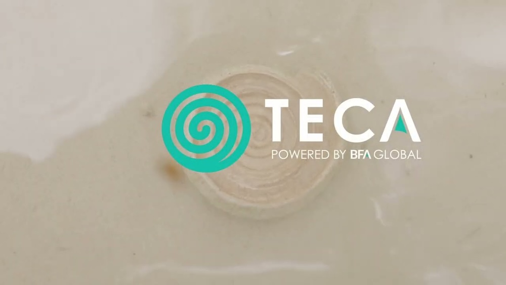 Four Climate Ventures to Receive $273k in Follow-on Support from BFA Global and FSD Africa