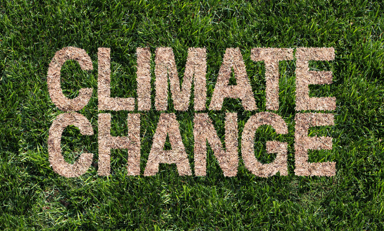 Greentown Labs, MassChallenge Join Forces to Support Early-Stage Climatetech Startups