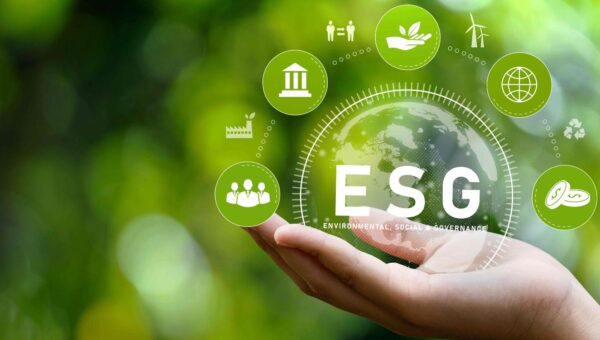 How emerging markets can prepare for the EU’s new ESG regulations