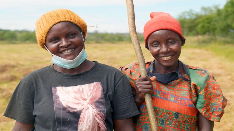 How Private Investment Is Reshaping Livestock Farming in Kenya