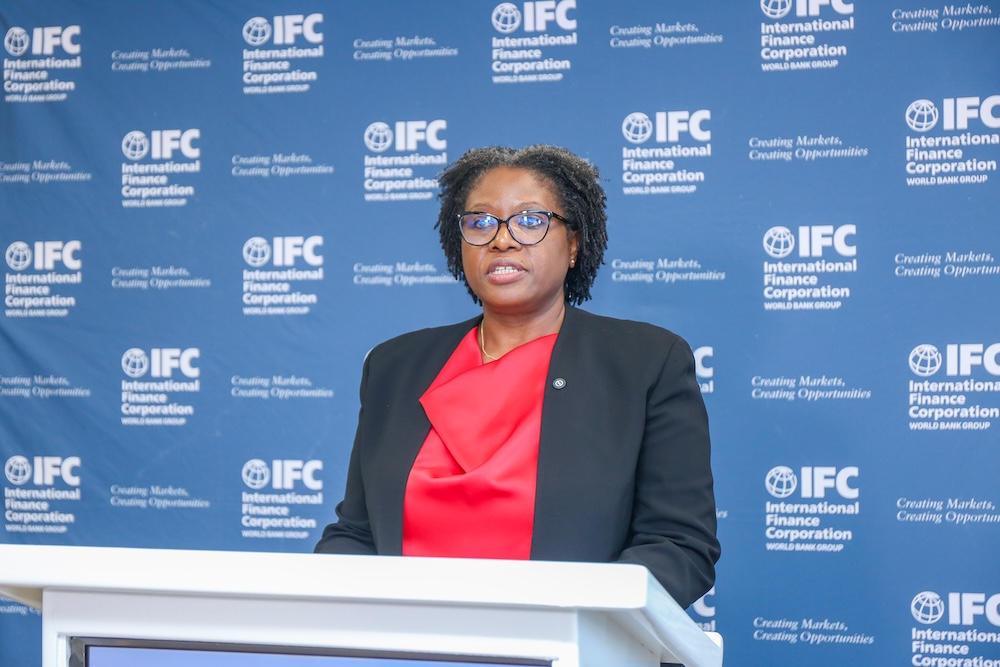 IFC Pushes for Mobilization of Africa’s Domestic Capital to Drive Sustainable Growth