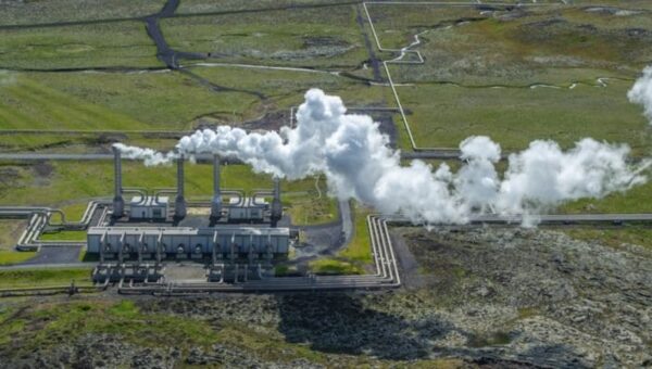 Kenya Enforces 40% Benefit-Sharing Rule in Carbon Markets