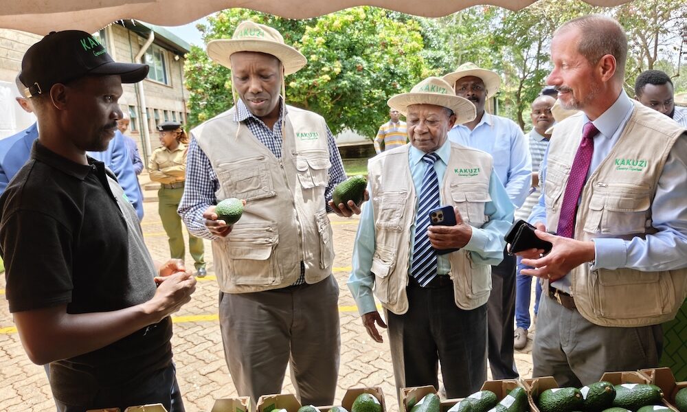 Kenya Pushes Agro-Industrialisation Agenda as CS Kinyanjui Tours Kakuzi