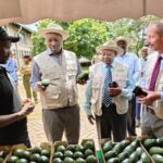 Kenya Pushes Agro-Industrialisation Agenda as CS Kinyanjui Tours Kakuzi