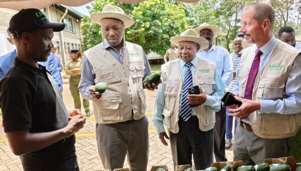 Kenya Pushes Agro-Industrialisation Agenda as CS Kinyanjui Tours Kakuzi