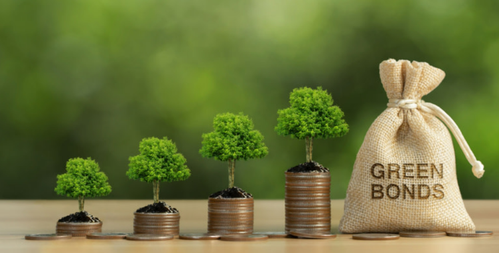 Kenya Raises $1.2 Billion In Historic Green Bond – And Here Is What It Means For You [2026]