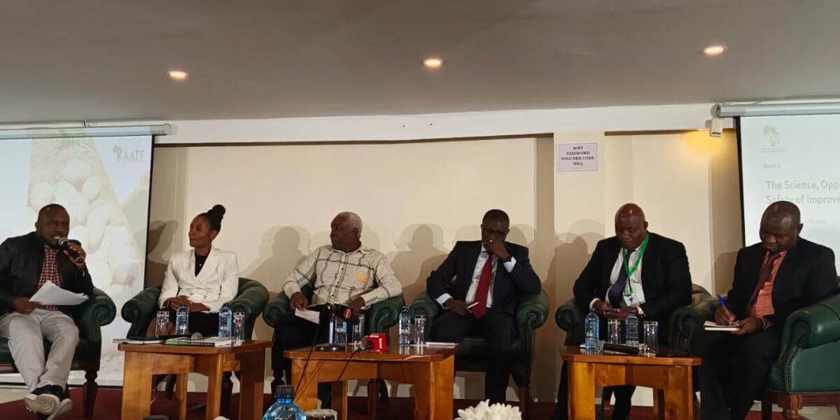 Kenya’s Crossroads on Genetically Modified Crops: How Delay Turned Science Into a Billion-Shilling Question