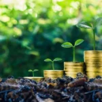 Kenya’s Green Finance Rules Attract Climate Investors