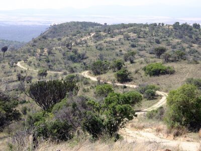 Lewa Safari Marathon 2026