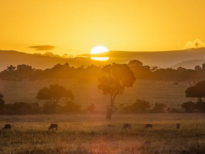 Maasai Mara Marathon 2025