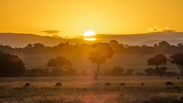 Maasai Mara Marathon 2025
