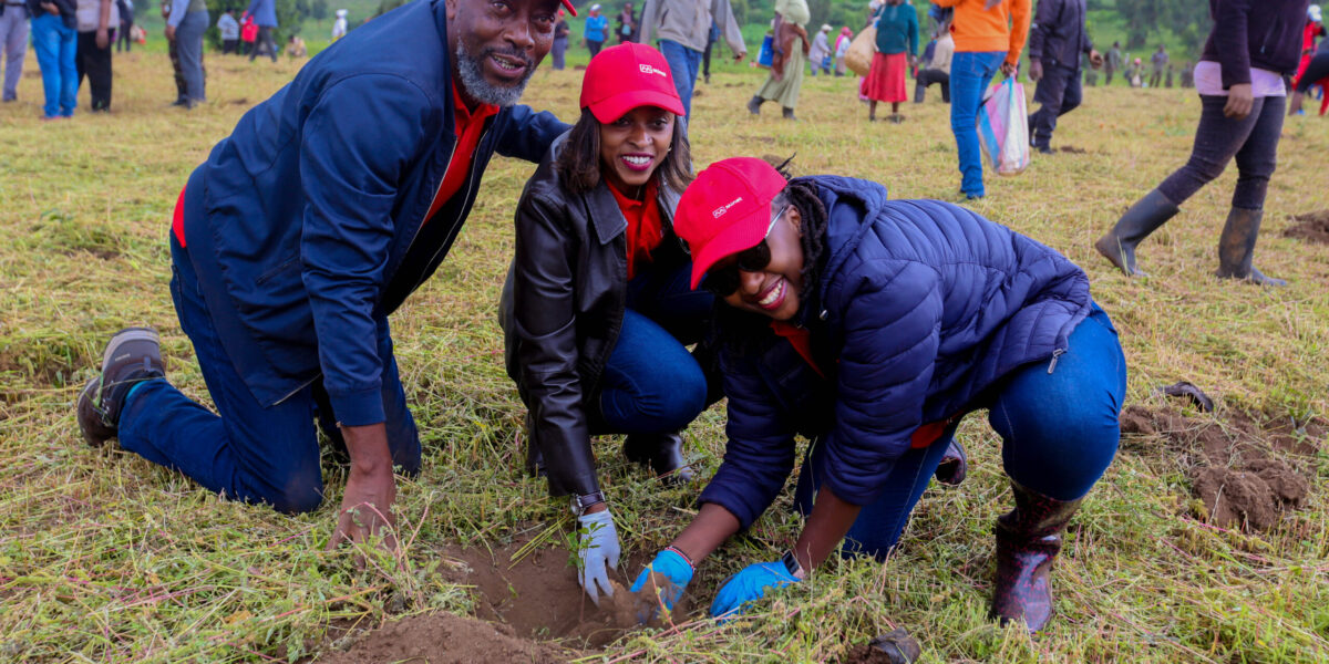 Minet Advances 500,000 Tree Initiative with 20,000 New Seedlings Planted