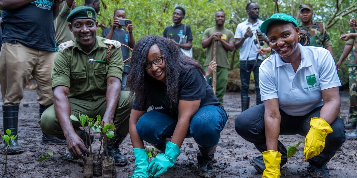 NCBA Leads Mangrove Planting and Coastal Cleanup in Kwale to Mark World Environment Day