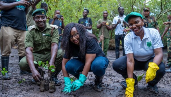 NCBA Leads Mangrove Planting and Coastal Cleanup in Kwale to Mark World Environment Day