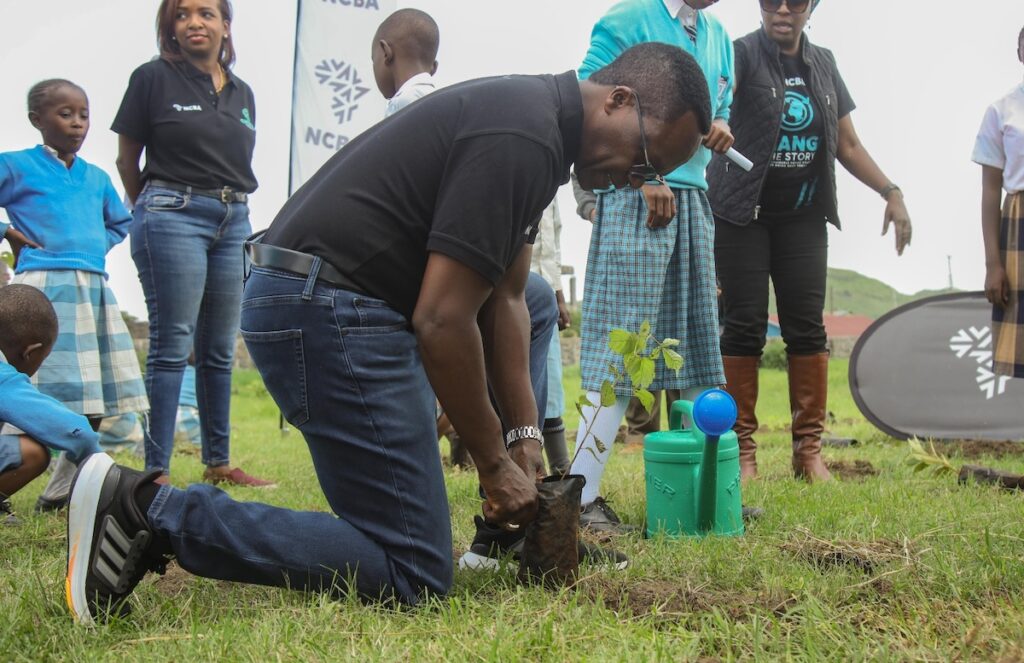 NCBA Plants 10,000 Trees In Nakuru County To Mark World Environment Day
