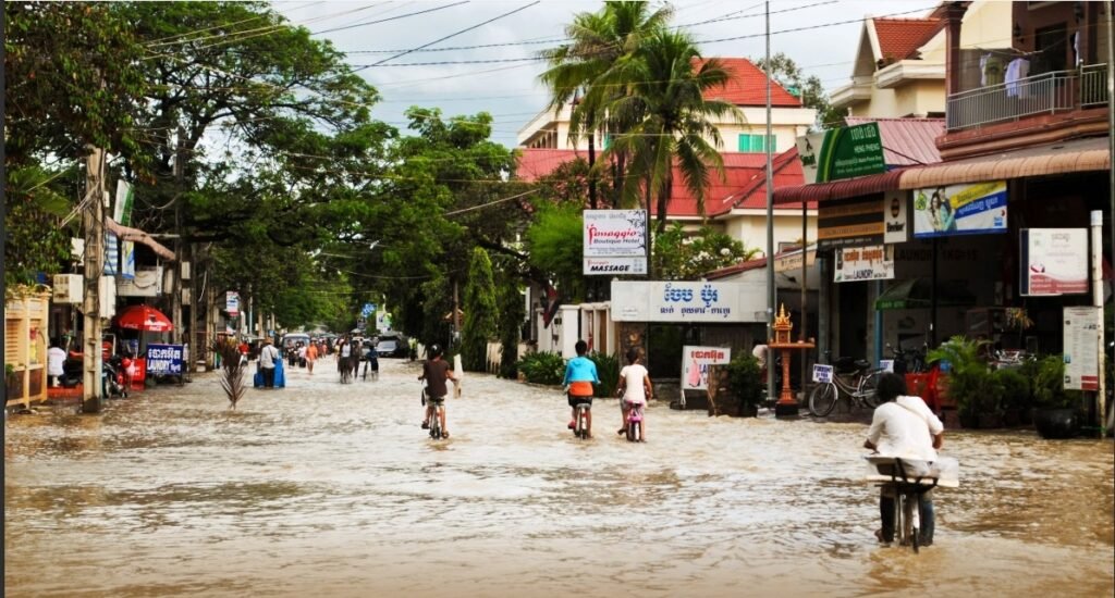 New WEF and BCG report urges urgent action on climate-driven health threats