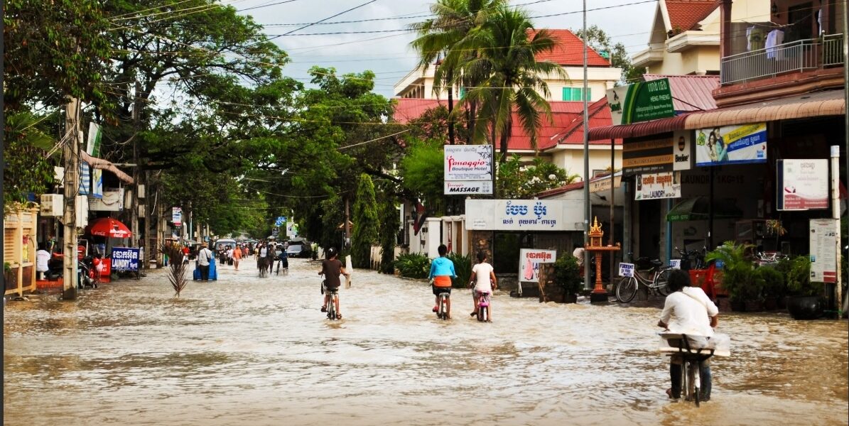 New WEF and BCG report urges urgent action on climate-driven health threats