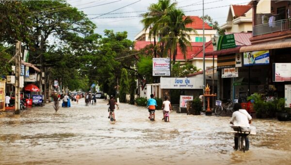 New WEF and BCG report urges urgent action on climate-driven health threats