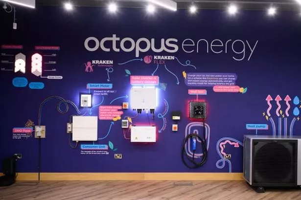 Octopus Energy Launches Landmark Africa Energy Fund