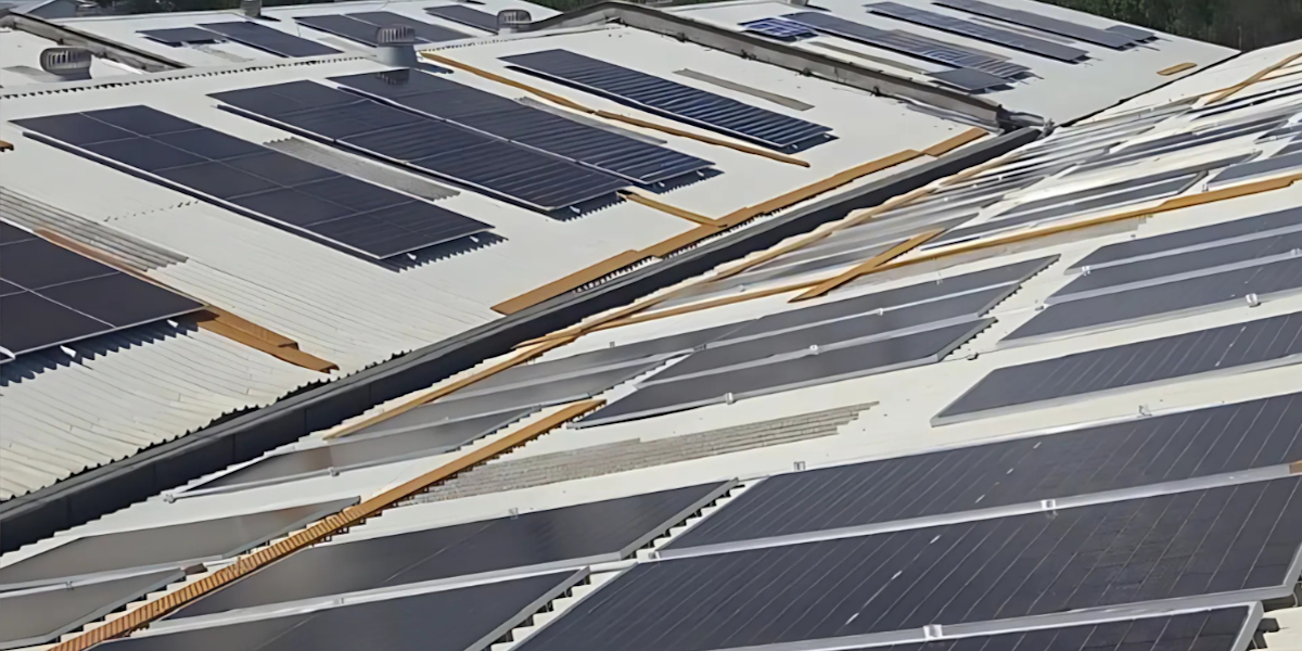 Pwani Oil Surpasses 2025 Sustainability Targets in Renewable Energy and Water Recycling