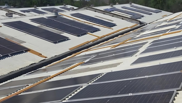 Pwani Oil Surpasses 2025 Sustainability Targets in Renewable Energy and Water Recycling