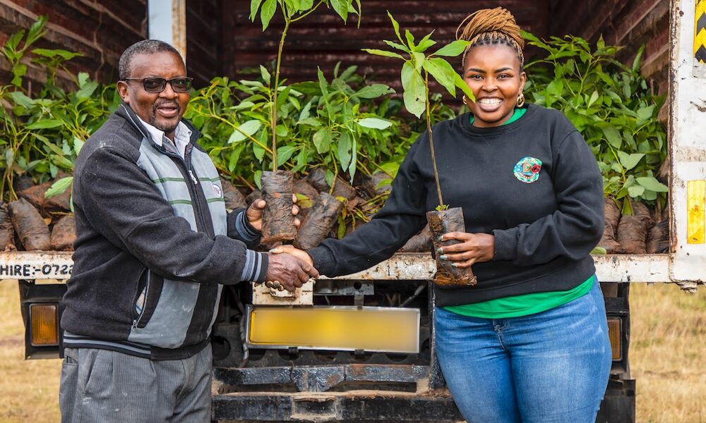 Safaricom Rolls Out Its Schools Regreening Programme