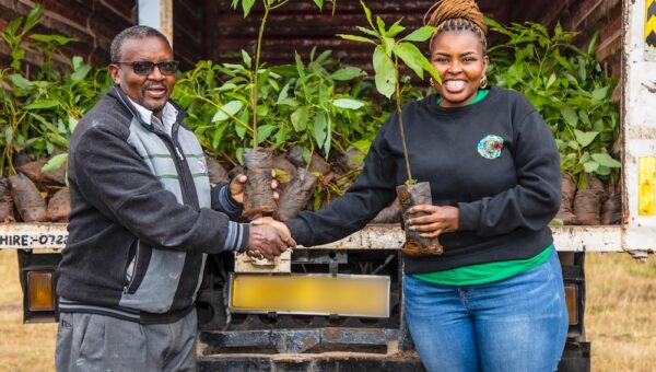 Safaricom Rolls Out Its Schools Regreening Programme