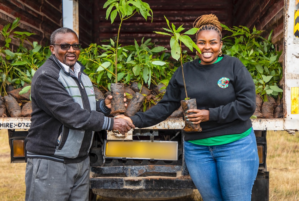 Safaricom Rolls Out Its Schools Regreening Programme