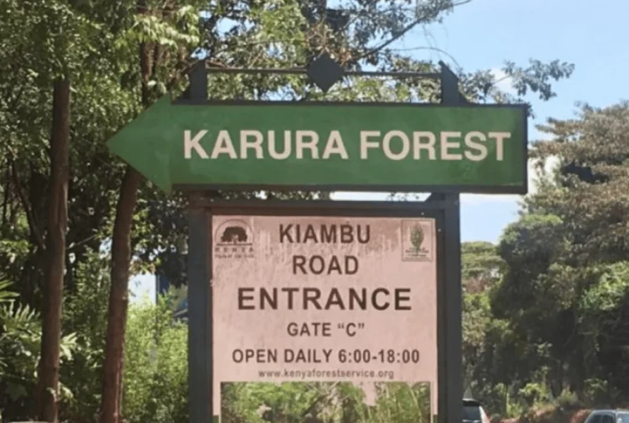 Storm at Karura: 300 Children Bursaries, 196 Community Workers and Forest Projects Caught in the Crossfire