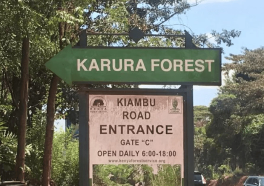 Storm at Karura: 300 Children Bursaries, 196 Community Workers and Forest Projects Caught in the Crossfire