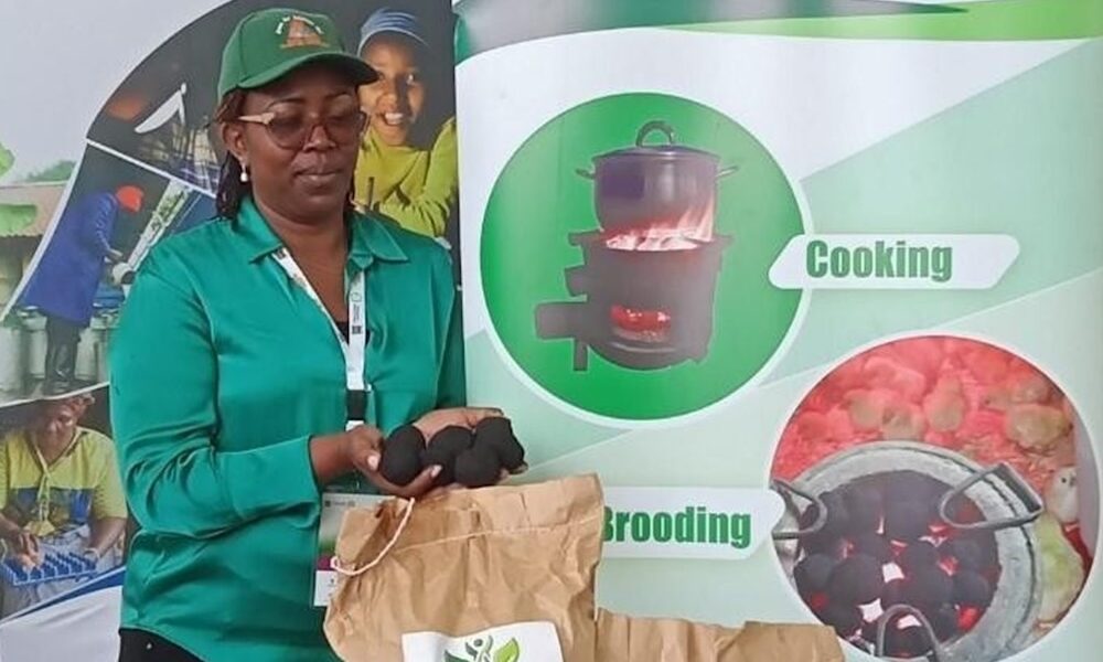 The Path To Sustainability: Green Eco Solutions Climate Action Initiatives