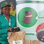 The Path To Sustainability: Green Eco Solutions Climate Action Initiatives