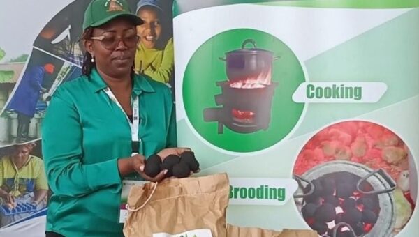 The Path To Sustainability: Green Eco Solutions Climate Action Initiatives