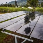 The Significance Of The US-Kenya Climate & Clean Energy Industrial Partnership